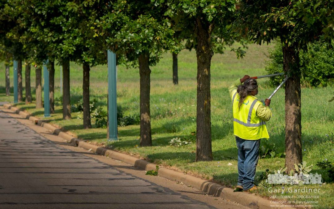Trimming Along The Boulevard