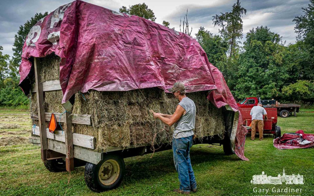 Rain-Delayed Hay Harvest