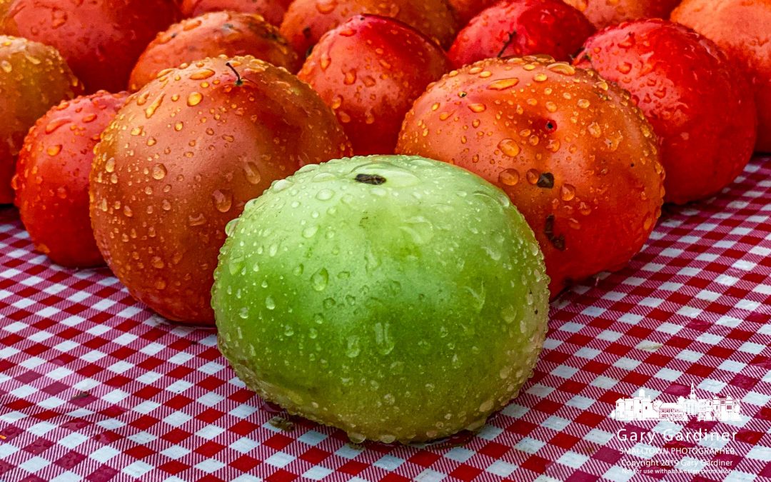 The Last To Ripen