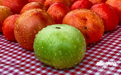 The Last To Ripen