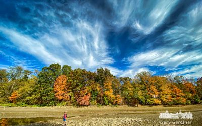 Collecting Along The Creekbed