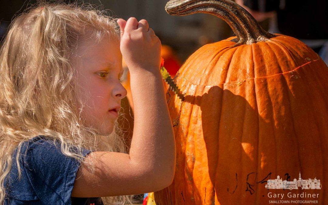 Carving The Perfect Face
