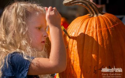 Carving The Perfect Face