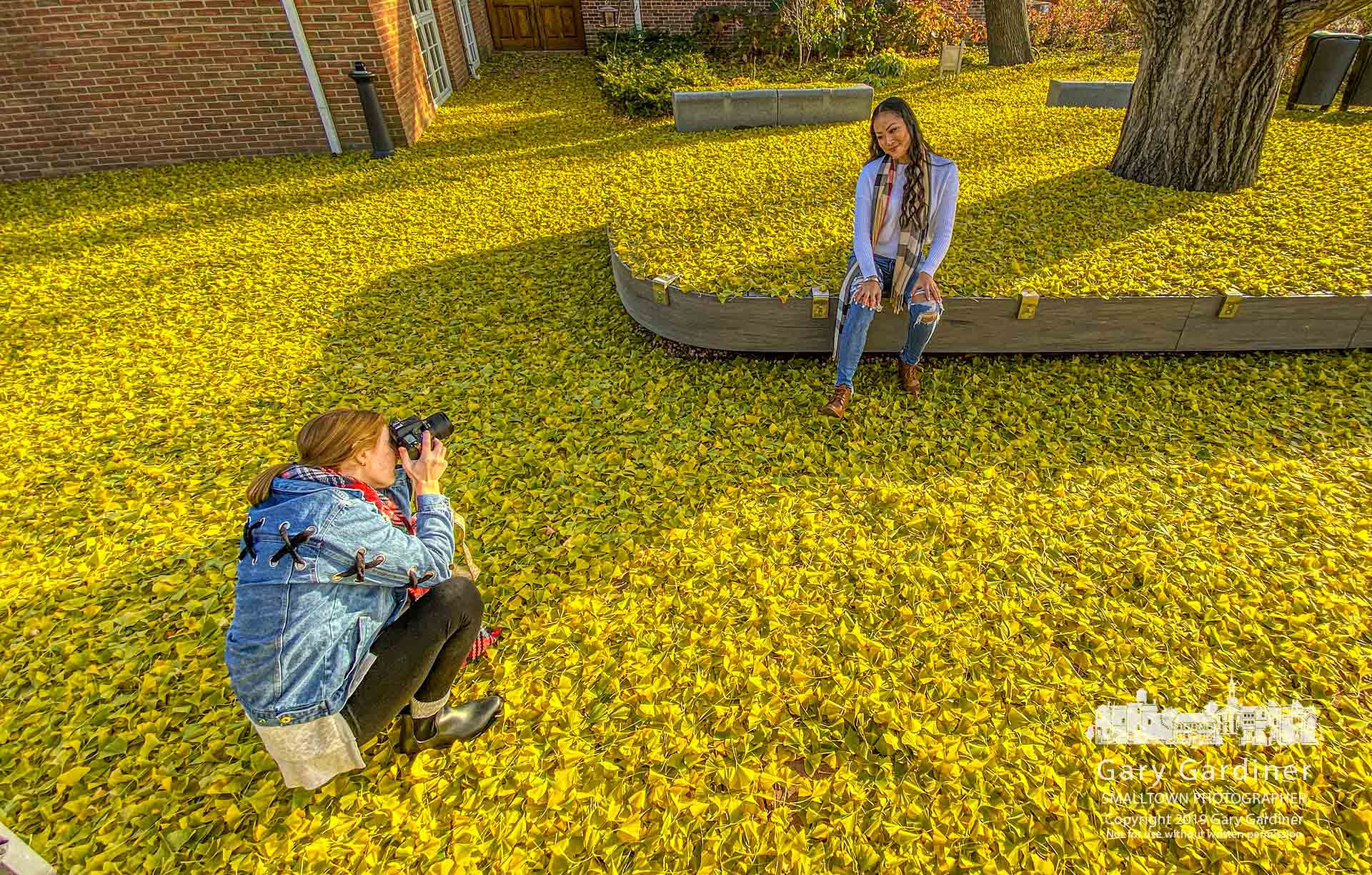 A photographer and her subject use the yellow carpet of leaves fallen from the gingko tree at Westerville City Hall as their backdrop during a photo shoot Friday. My Final Photo for Nov. 8, 2019.