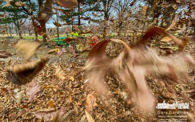 Sharon Woods Leaf Blowers