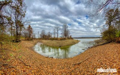 Low Water At Hoover