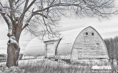 Snow Blanket at Braun Farm