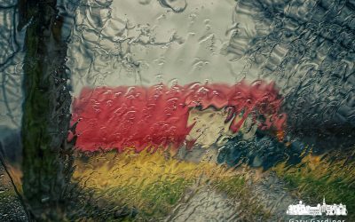 Rainy Day At Braun Farm