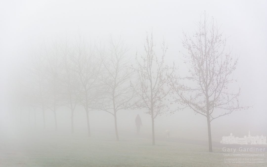 Morning Walk In The Fog