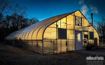 Winter Greenhouse Morning