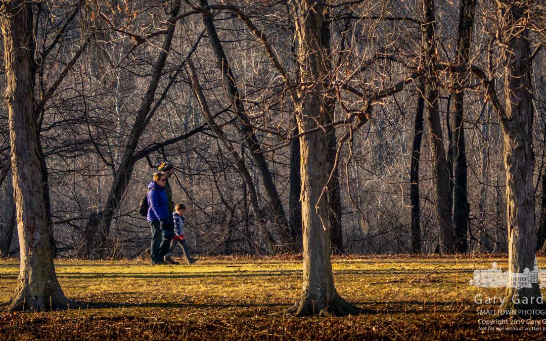 Afternoon In The Park