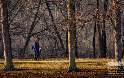 Afternoon In The Park