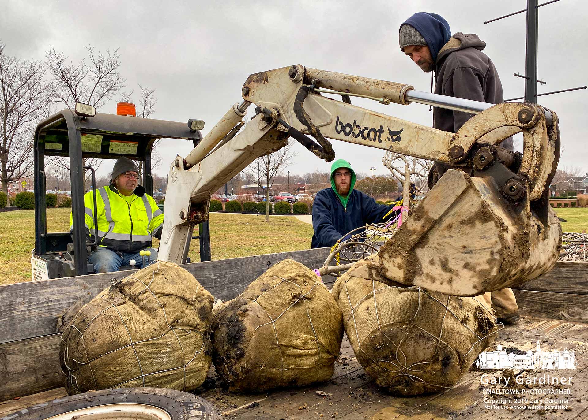 Klamfoth Landscaping workers unload three of the four trees they planted Tuesday along the east side of State Street just north of Schrock Rd. replacing trees that died during the last year and the sandy soil they were planted in. My Final Photo for Dec. 3, 2019.