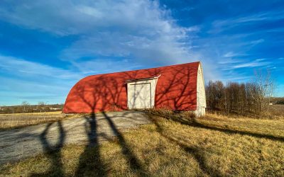 Walnut Tree Shadows In Ohio