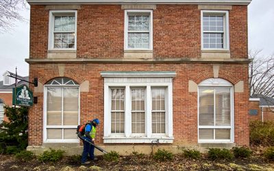 City Hall Cleanup