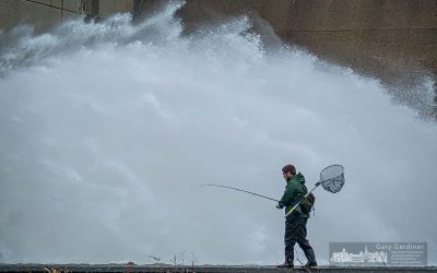 Fishing Below The Dam