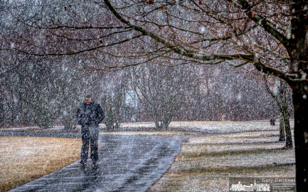 Walking In The Snow