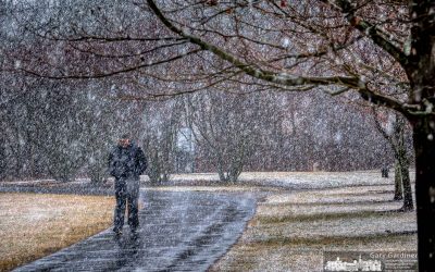 Walking In The Snow
