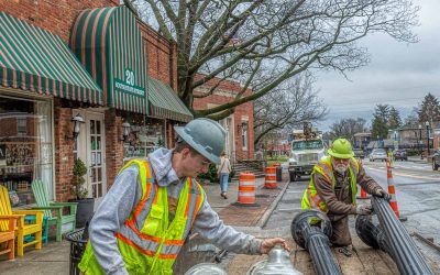 Heritage Oak Preservation Preparations
