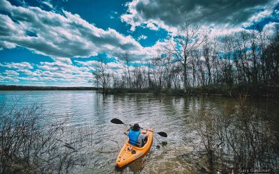 Saving The Lure