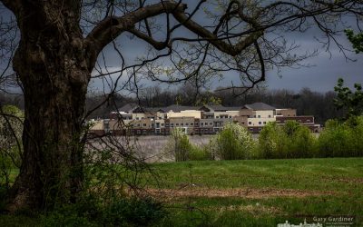 Braun Farm View