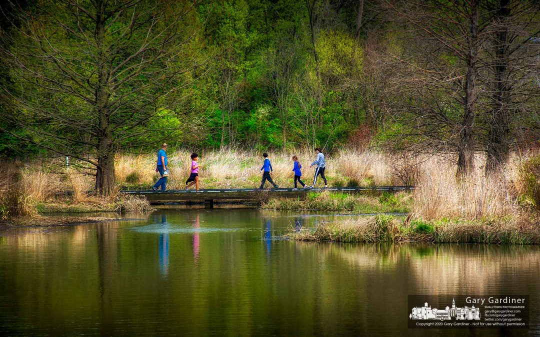 Wetlands Wandering