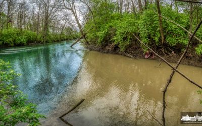 Spring Run Runoff
