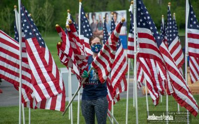 Field Of Heroes Setup