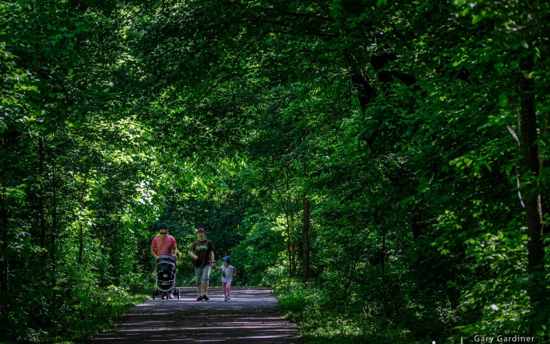 A Walk In The Park