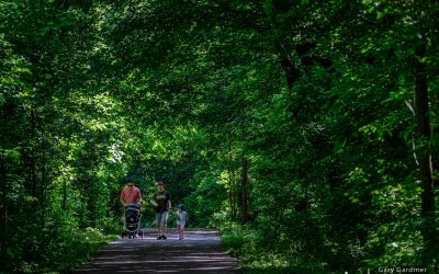 A Walk In The Park
