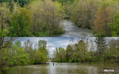 Fishing Big Walnut