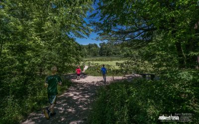 The Rush To Nature