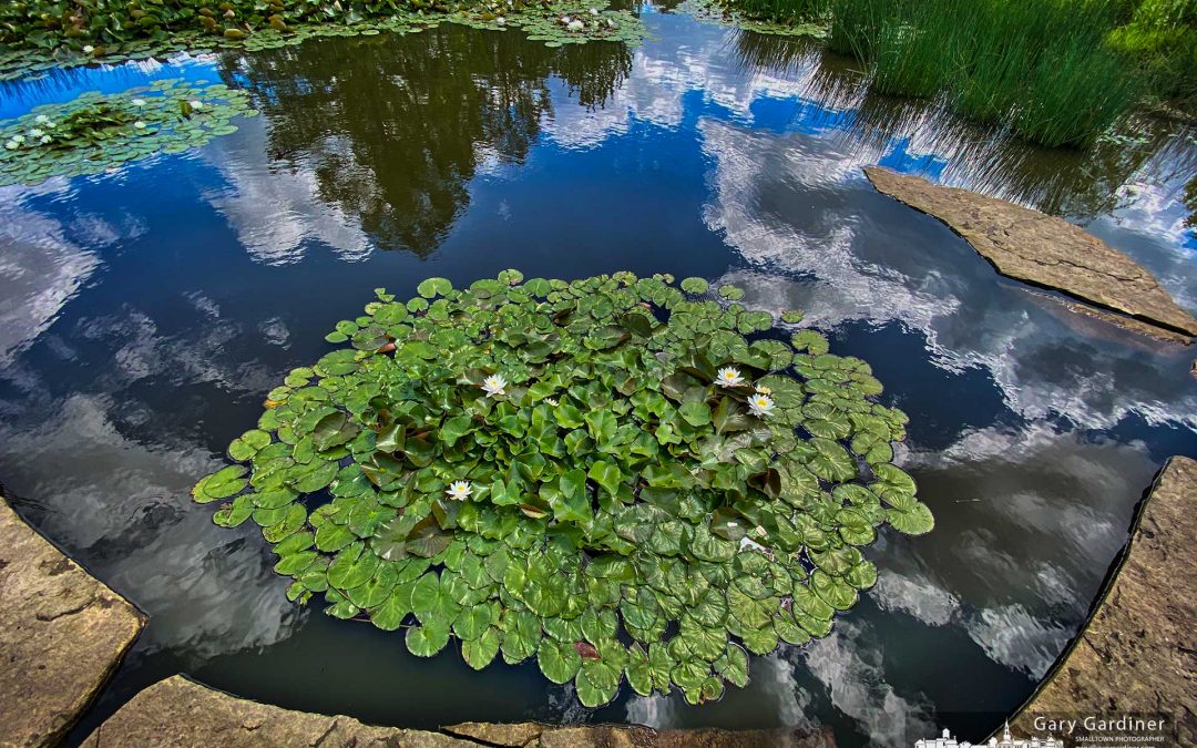 Wetlands Wonderment