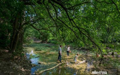 Family Playing In Creek