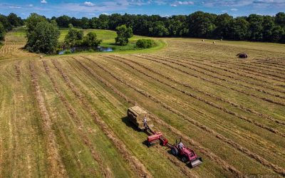 Baling Hay On Sharp Farm