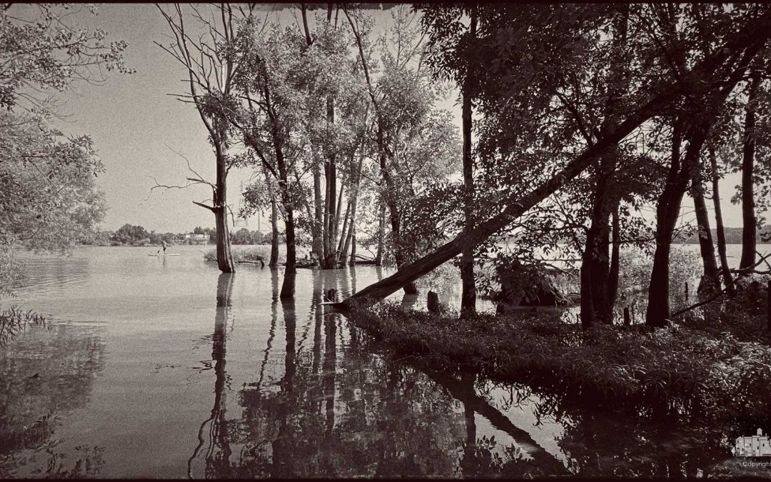 Morning On The Lake
