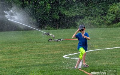 Best Sprinkler Ever