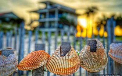 Shell Art At Sunset