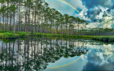Morning Rainbow