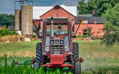 Farm Field Mowed