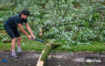 Clearing Storm Damage