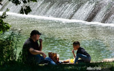 Father And Son Fast Food Lunch