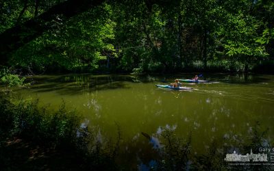 Headed Downstream