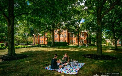 Lunchtime On The Lawn