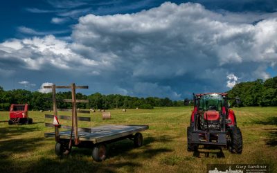 Late Afternoon Summer Storm