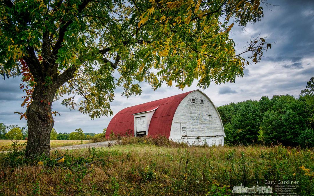 Braun Farm Fall