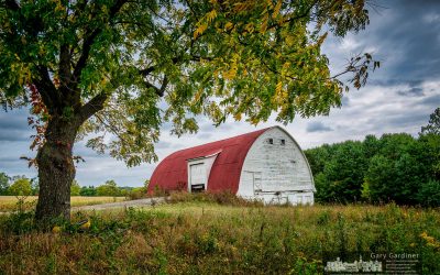 Braun Farm Fall