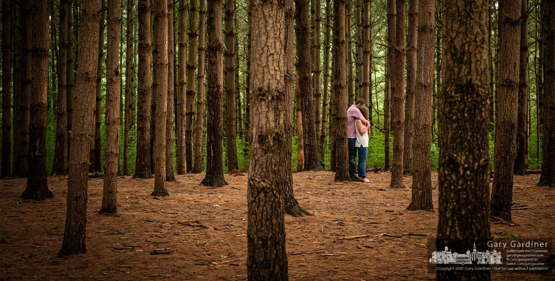 A couple embraces as they pose for photographs in a small stand of pine trees at Hoover Reservoir. My Final Photo for Sept. 13, 2020.