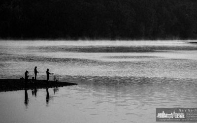 Fishing In The Mist