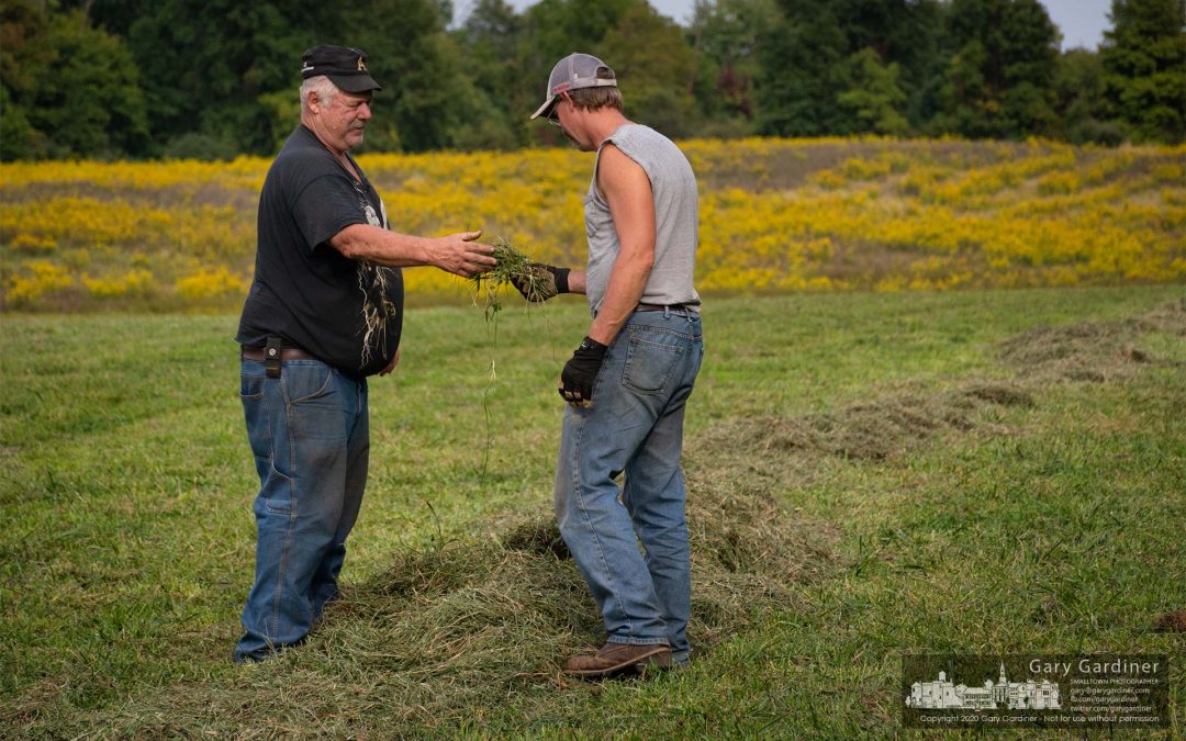 Is The Hay Ready?